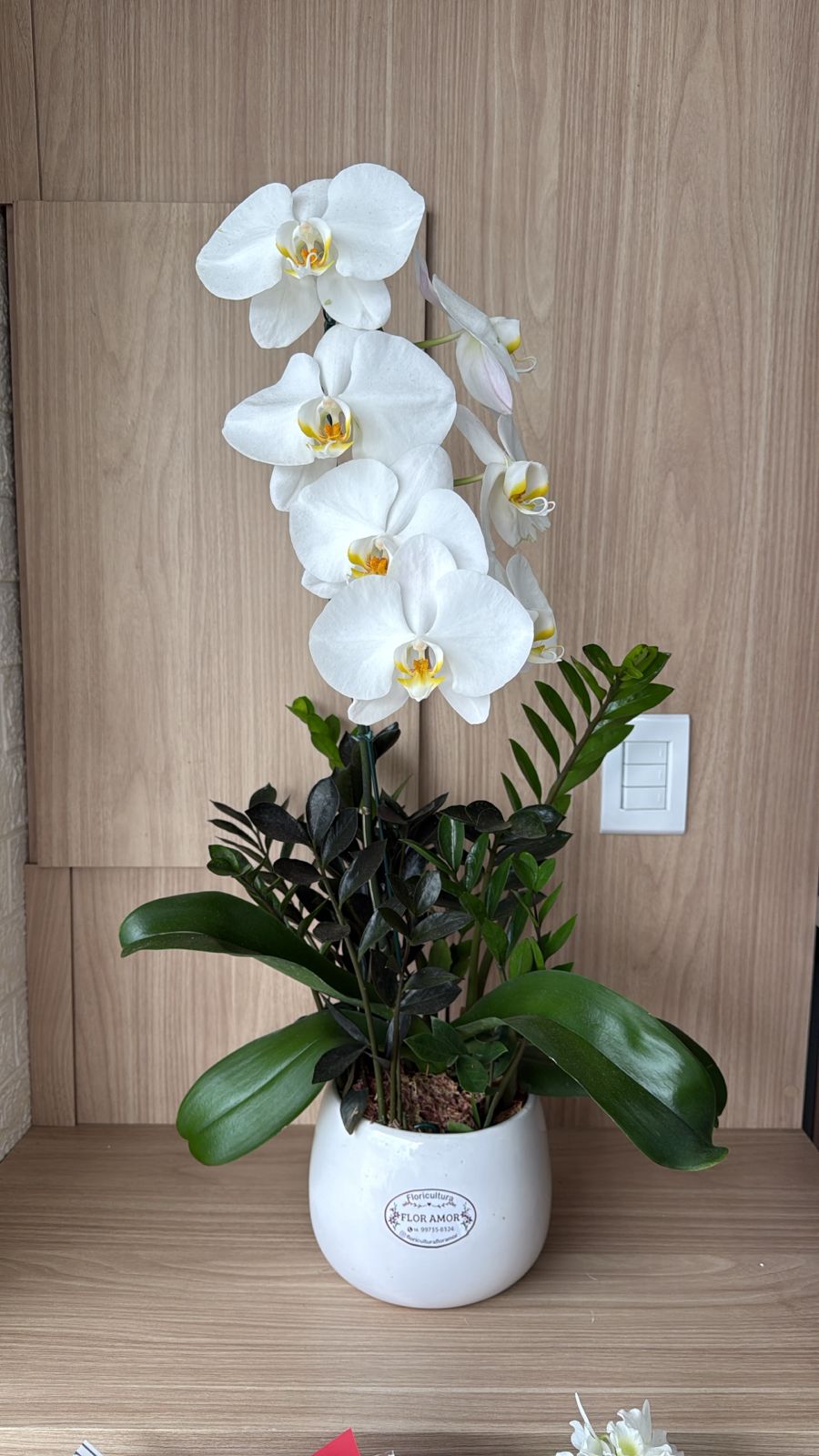 Orquidea Branca